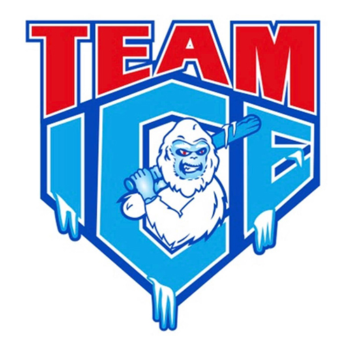 Organization | Fundraiser Metropolis Ohio