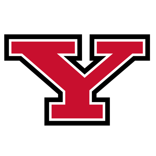 METR_ORG_LOGOS_Youngstown_State_Penguins